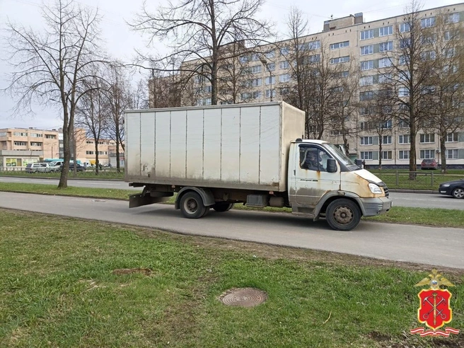 Грузовая «ГАЗель» сбила 80-летнюю женщину, пятясь по тротуару в Колпино | Источник: ГУ МВД по Петербургу и Ленобласти