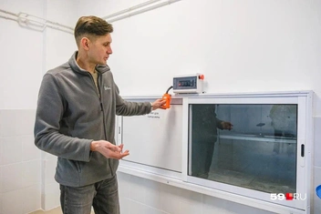 Андрей показывает лифт, через который икру-сырец направляют в помещение, где ее пастеризуют | Источник: Тимофей Калмаков / 59.RU