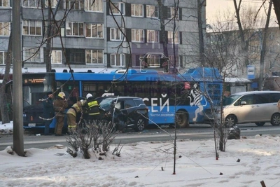 Two Buses Collide on Pavlova Street