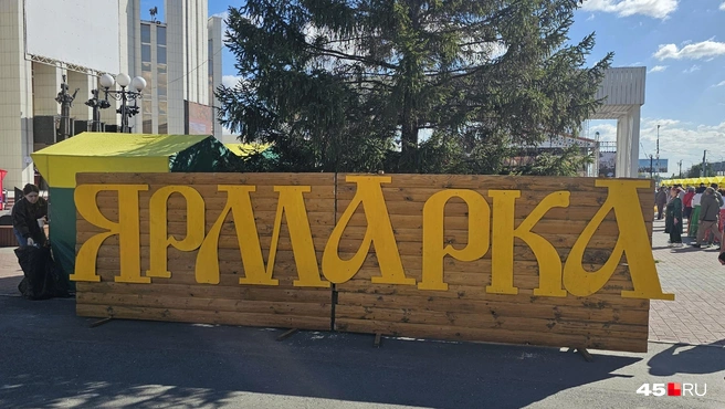 Источник: Дарья Никитченко / 45.RU
