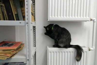 В Рязани отключили отопление в детсаду и на Советской Армии