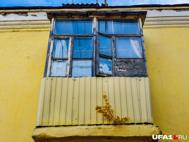 У вас что-то растет из балкона | Источник: Булат Салихов / UFA1.RU