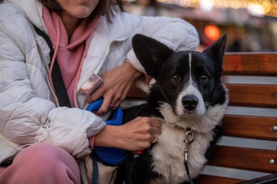 Синоптики дали прогноз на январь для Приангарья