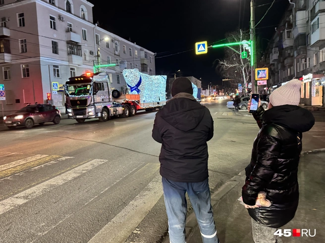 Курганцы ждали медведей заранее | Источник: Юлия Король / 45.RU