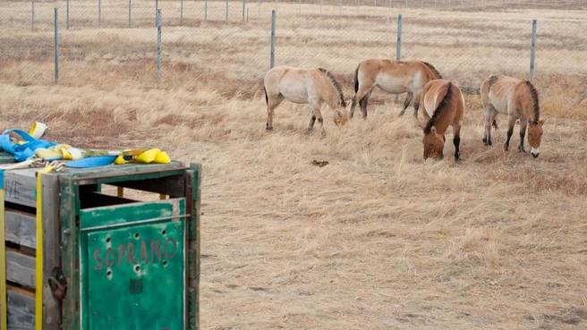 Вторую и третью — в 2016 и 2017 годах | Источник: orenzap.ru