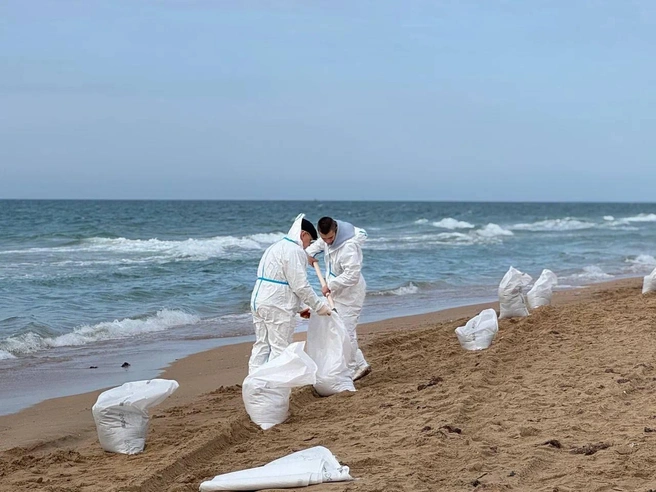 Новая угроза мазута нависла над пляжами Анапы: что происходит на побережье | Источник: 93.RU | Новости Краснодара и края / Телеграм