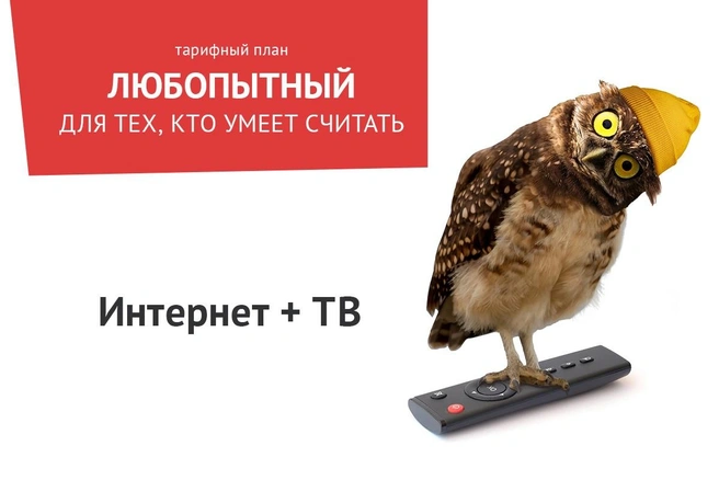 Источник: ТрансТелеКом