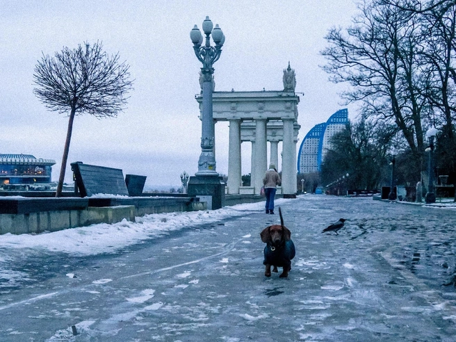 Источник: Дмитрий Доценков