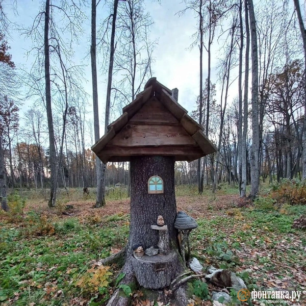 Источник: из архива Марины Ляшкевич