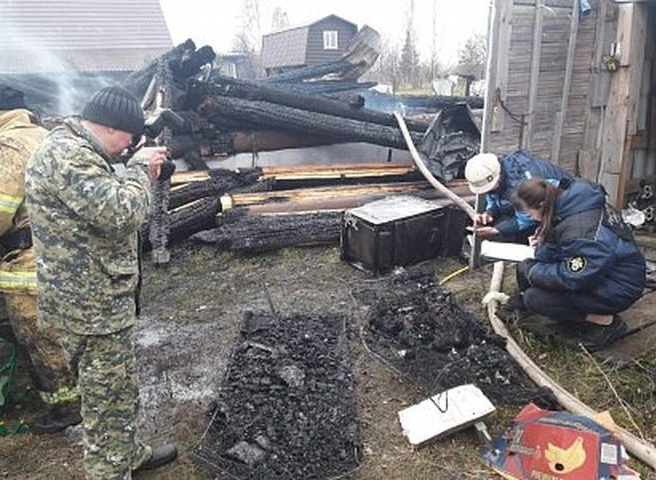 Бабушка малышей, погибших на пожаре под Шиловом, заявляла в полицию на их родителей | ya62.ru