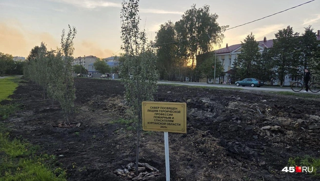 Источник: Алёна Кисель