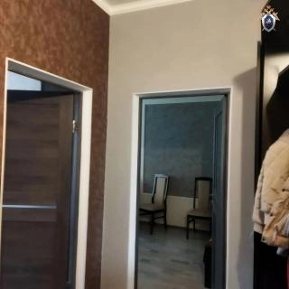 Источник: chel.sledcom.ru