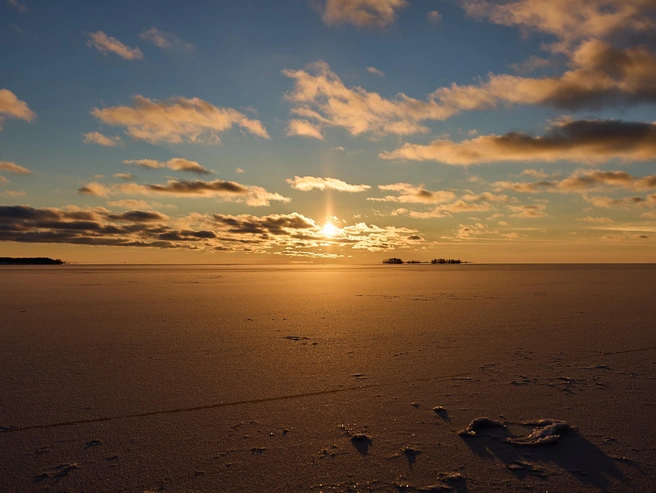 Источник: Александр Ощепков / NGS.RU