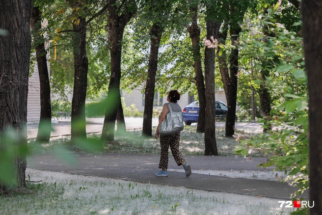 Даже от взгляда на фото хочется почесать нос | Источник: Ирина Шарова / 72.RU