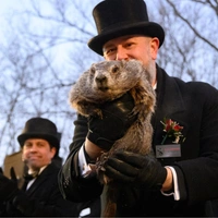 Прогноз мохнатого синоптика: какую весну предсказал американцам сурок Фил в 2026-м?