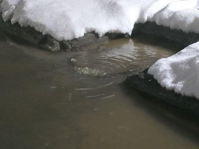 На этот раз оперативно решить проблему не удалось | Источник: читатели НГС