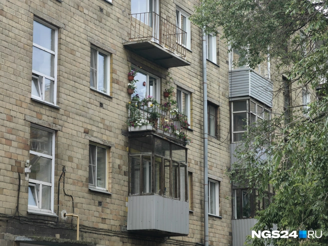 Источник: Никита Шайхутдинов / NGS24.RU