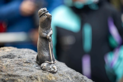 Новый бронзовый суслик появился в Красноярске