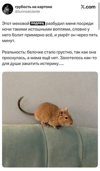 Источник: X (Twitter)