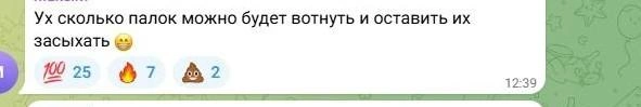 Это о планах властей восстановить государственные лесополосы | Источник: Новости Ростова | 161.RU / Telegram.org