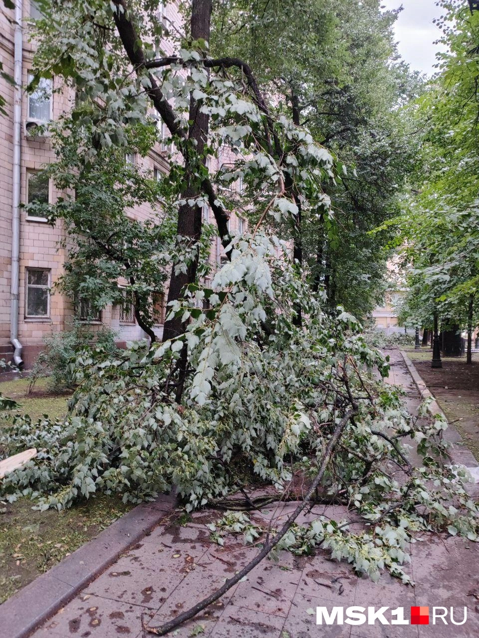 Машины утопают в лужах, в переходах — толпы. Как Москва переживает мощный ливень: онлайн-репортаж | Источник: Артем Устюжанин / MSK1.RU