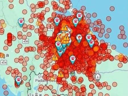 Интерактивная карта отображает локации, где люди и животные ждут помощи и эвакуации. | Источник: предоставлено Вероникой