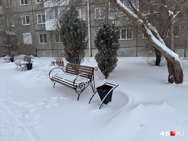 Высота снежного покрова значительно увеличилась | Источник: Юлия Король / 45.RU