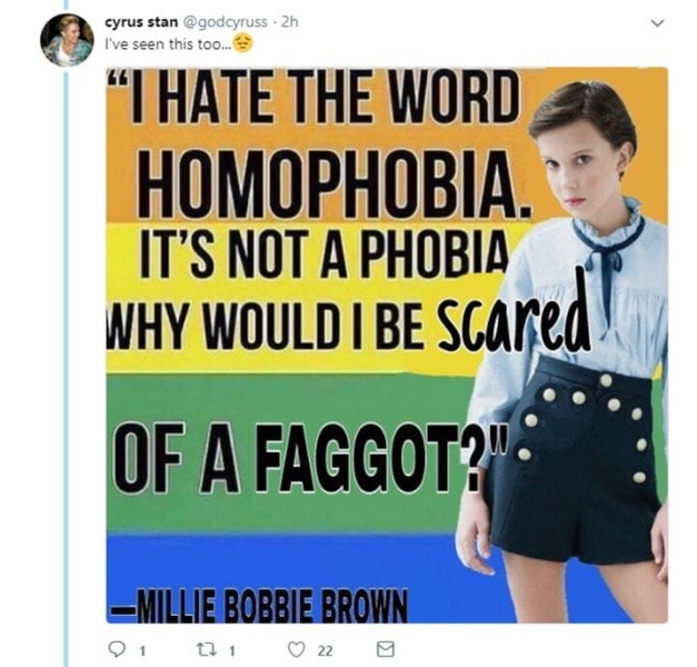 Милли Бобби Браун удалила свой твиттер из-за гомофобных мемов