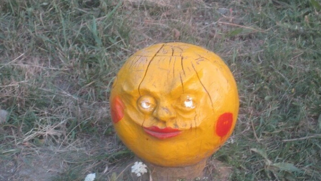 Как выглядят сусеки