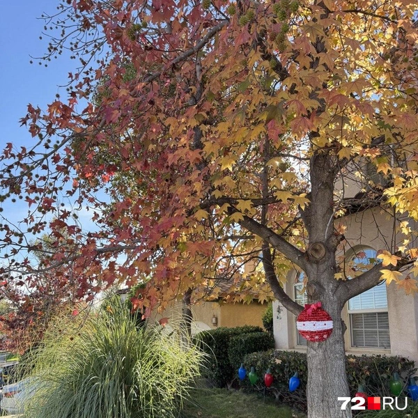 Источник: Читатель 72.RU