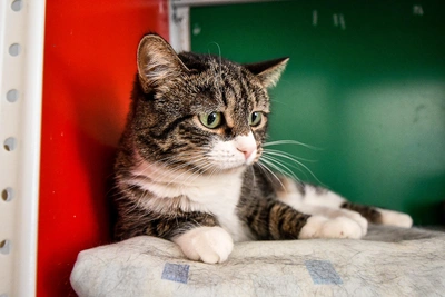 Тепло в Иркутске сменится морозами на неделе