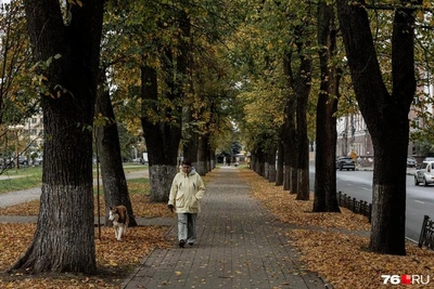 Психолог дала советы ярославцам против осенней хандры