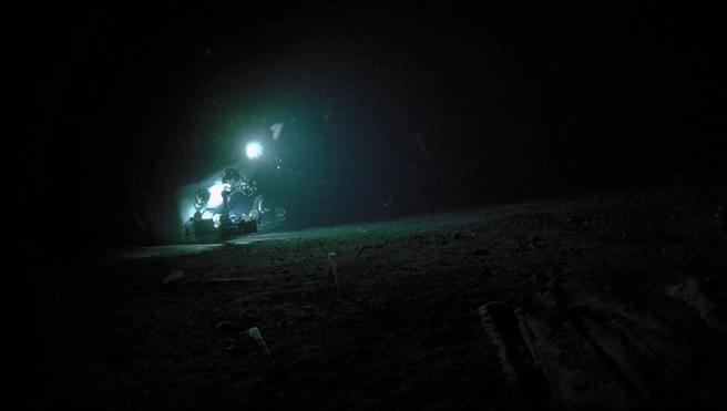 Источник: The Nippon Foundation-Nekton Ocean Census/©JAMSTEC