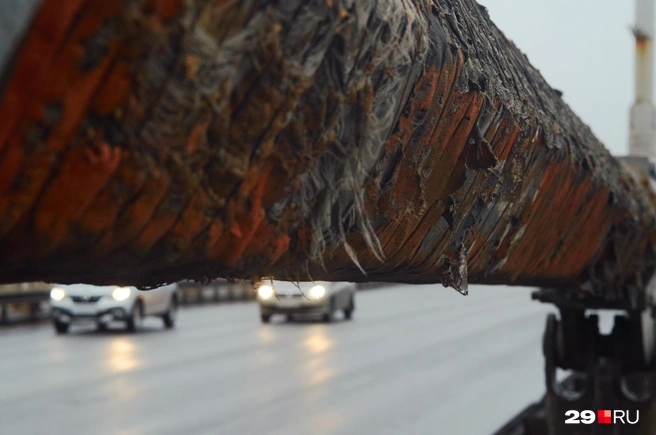 Источник: Антон Данилов / 29.RU