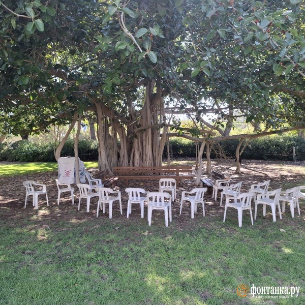 Источник: Ирина Багликова / «Фонтанка.ру»