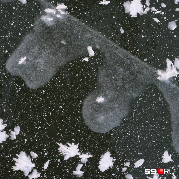 Источник: Тимофей Калмаков / 59.RU