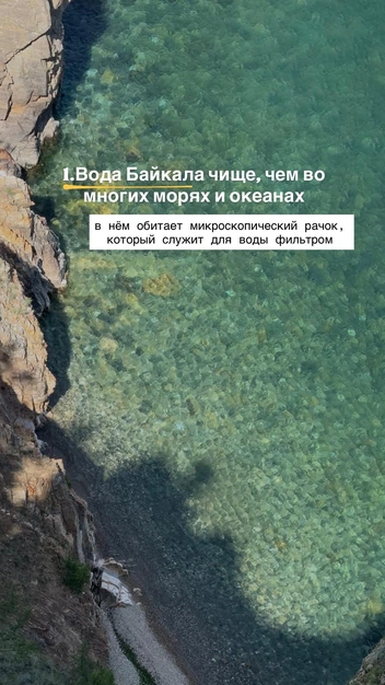 Источник: Анастасия Сахарова / Vk.com