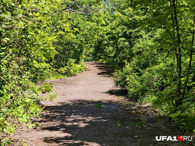 Одна из сохранившихся троп | Источник: Булат Салихов / UFA1.RU