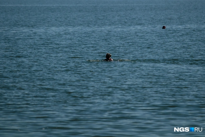 Некоторые смельчаки все еще плавают  | Источник: Андрей Бортко / NGS.RU 