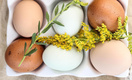 Только не в холодильнике: где на самом деле нужно хранить яйца согласно науке
