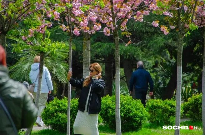 В апреле сквер наполняется любителями красивых фотографий | Источник: Оксана Витязь / SOCHI1.RU