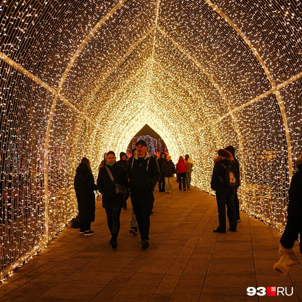 Источник: Дарья Паращенко / 93.RU