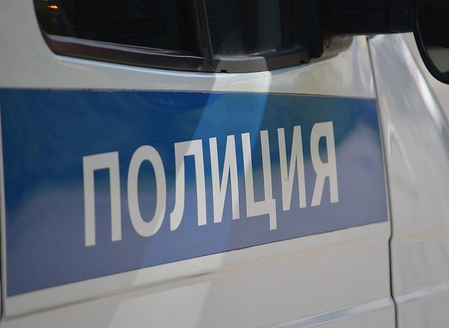 21-летняя рязанка обокрала двух жительниц Брянска | ya62.ru
