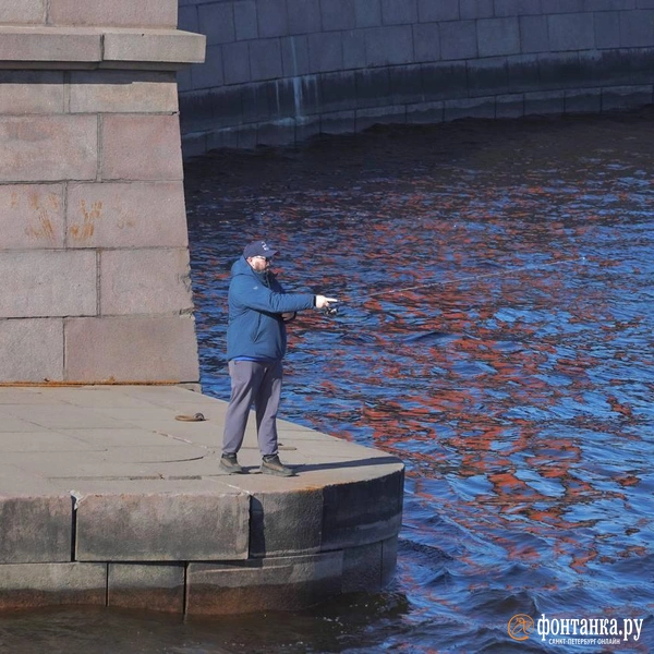 Источник: Павел Даиси / «Фонтанка.ру»