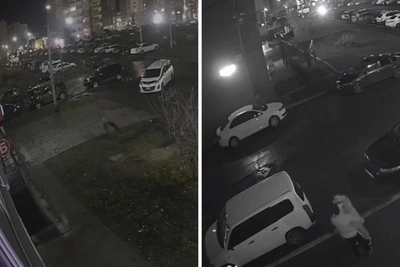 В Солнечном мужчина напал на девочку
