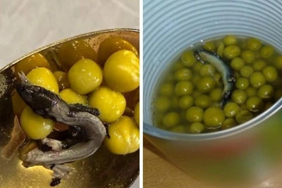 Yekaterinburg locals report nasty discoveries in store-bought food