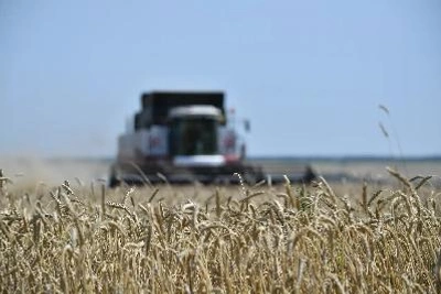 Саратовские аграрии собрали 4,6 млн тонн зерна