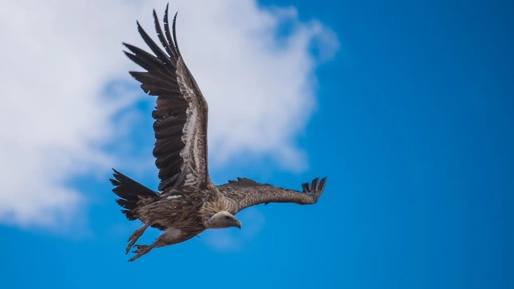 Источник: niphon saengpueng/Shutterstock/Fotodom.ru