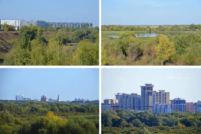 вид на рязань сверху_