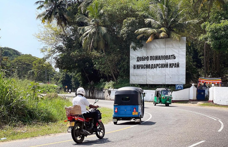 «Добро пожаловать в Краснодарский край»: на Шри-Ланке появился необычный билборд